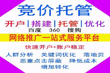 SEM代理案例：揭秘成功背后的秘密